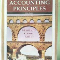 Image of Accounting Principles (Ninth Edition)
