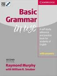 Image of Basic Grammar in use : with answers