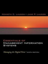 Image of Essentials of Management Information Systems