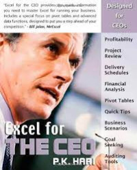 Image of Excel for The Ceo