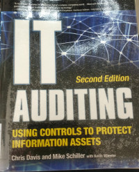 Image of IT Auditing