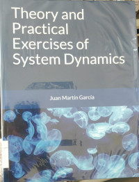 Image of Theory and practical exercises of system dynamics